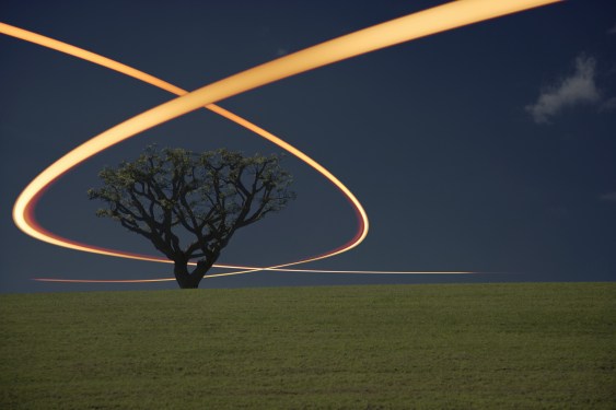 Networks of communication and fiber-optics through nature.