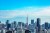Aerial view of Tokyo skyline