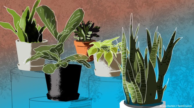 illustration of potted plants