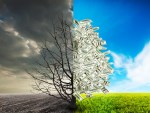Image of a tree in a field, with half barren to represent debt and half flush with cash to represent success.