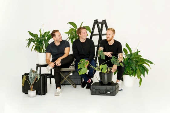 Tame founders