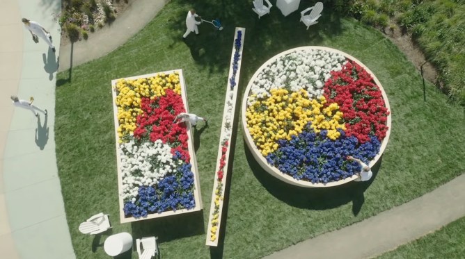 Google I/O flowers