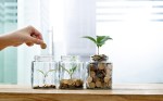 Seed is not the new Series A