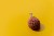 Image of money sticking out of a brain against a yellow background