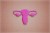 uterus un paper work.Pink backgroundArt concept of female reproductive health