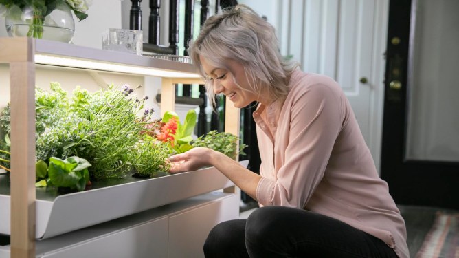 Rise Gardens, indoor garden