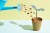 watering can pouring coins onto plant made from dollar bills