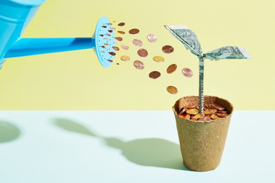 watering can pouring coins onto plant made from dollar bills