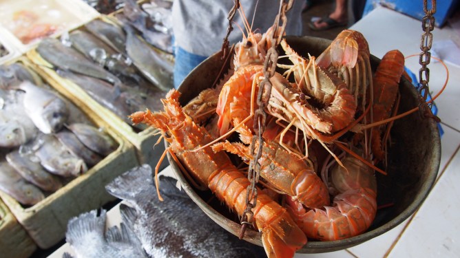 Photo of lobsters being weighed on a scale at a market in West Java, Indonesia