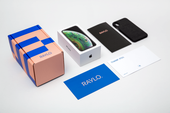 Raylo box and smartphone display
