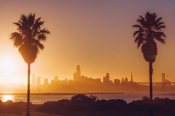 A view of San Francisco as seen from Treasure Island; there's a single palm tree on either side of the photo.