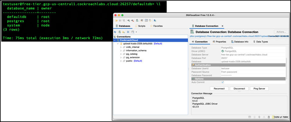The CockroachDB command line tool and GUI
