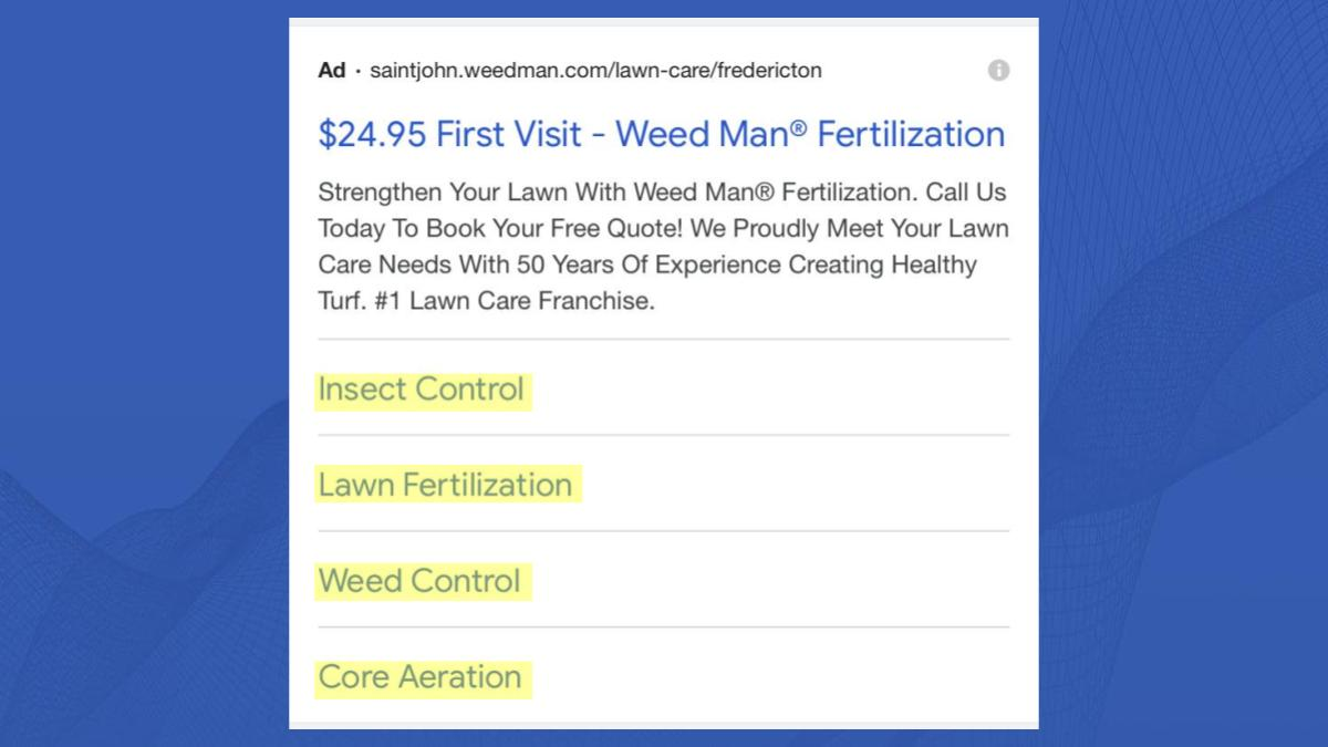 Use ad extensions to highlight different remedies to common problems customers have.