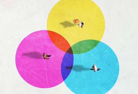 Three entities combining in a venn diagram