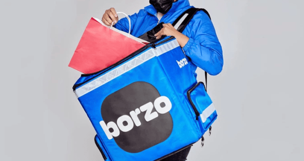 Borzo Delivery