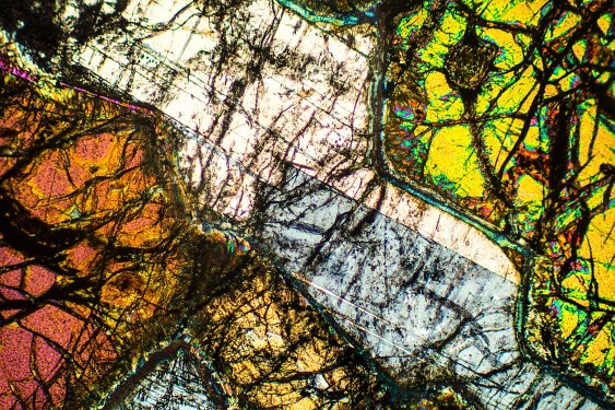 Abstract, angular, yellow and white patterns in polarizing micrograph of peridotite rock, at 40x.