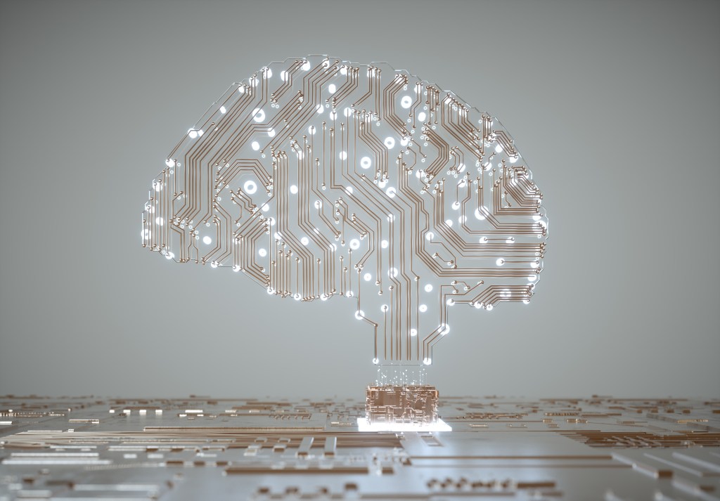 Digital Human Brain Covered with Networks