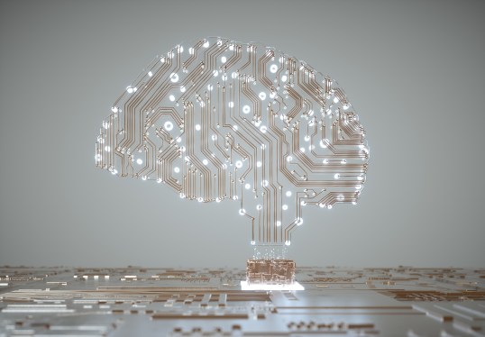 Digital Human Brain Covered with Networks