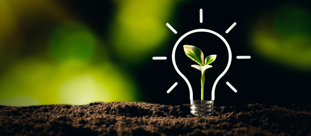 Image of a plant growing inside a lightbulb to represent green technological innovation.