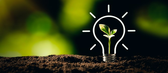 Image of a plant growing inside a lightbulb to represent green technological innovation.