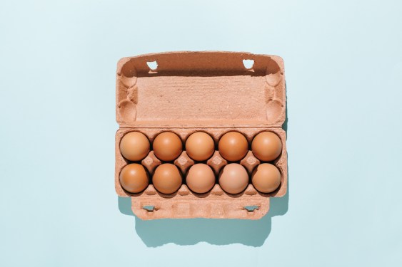 Organic eggs in cartons tray on blue background. Flat lay, top view