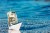 a paper boat with a dollar bill for a sail