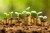 IFC set to invest $26M in Partech's Africa Fund II