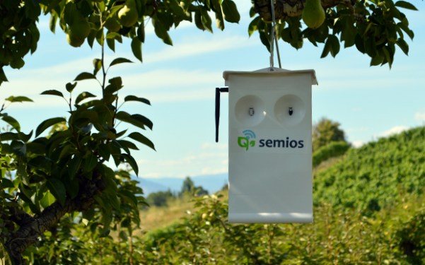 Semios
