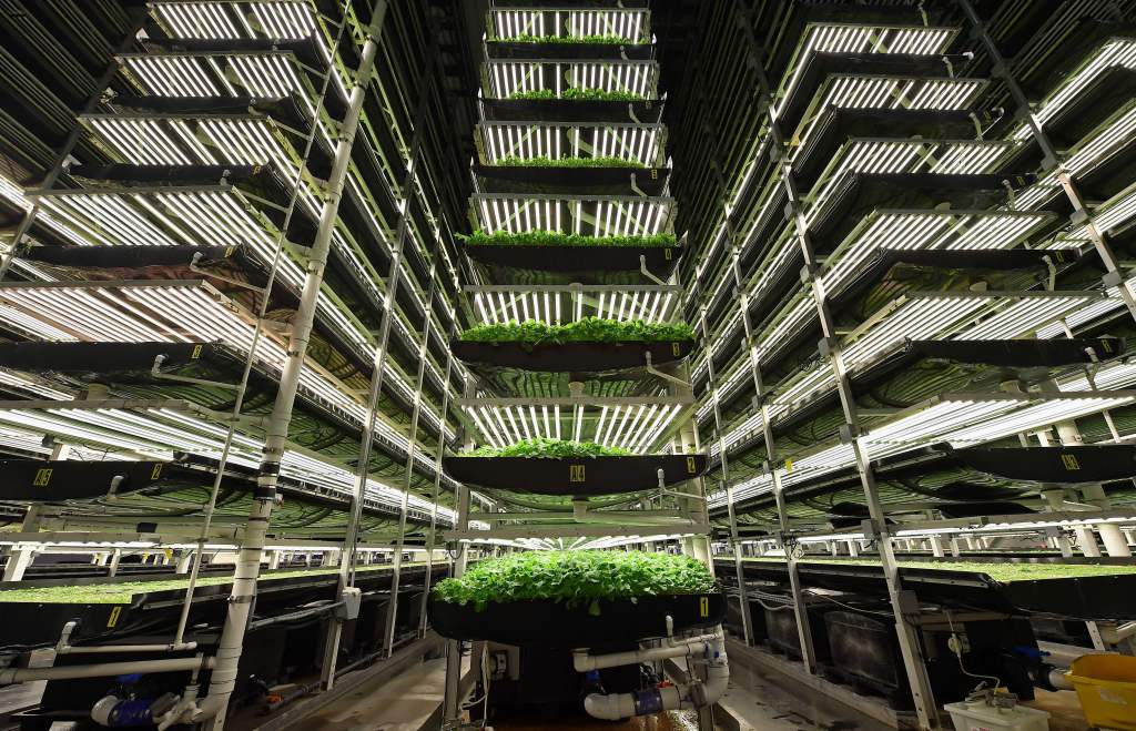 vertical farm