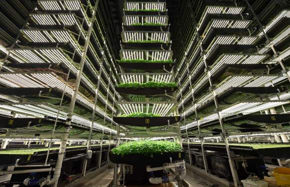 vertical farm