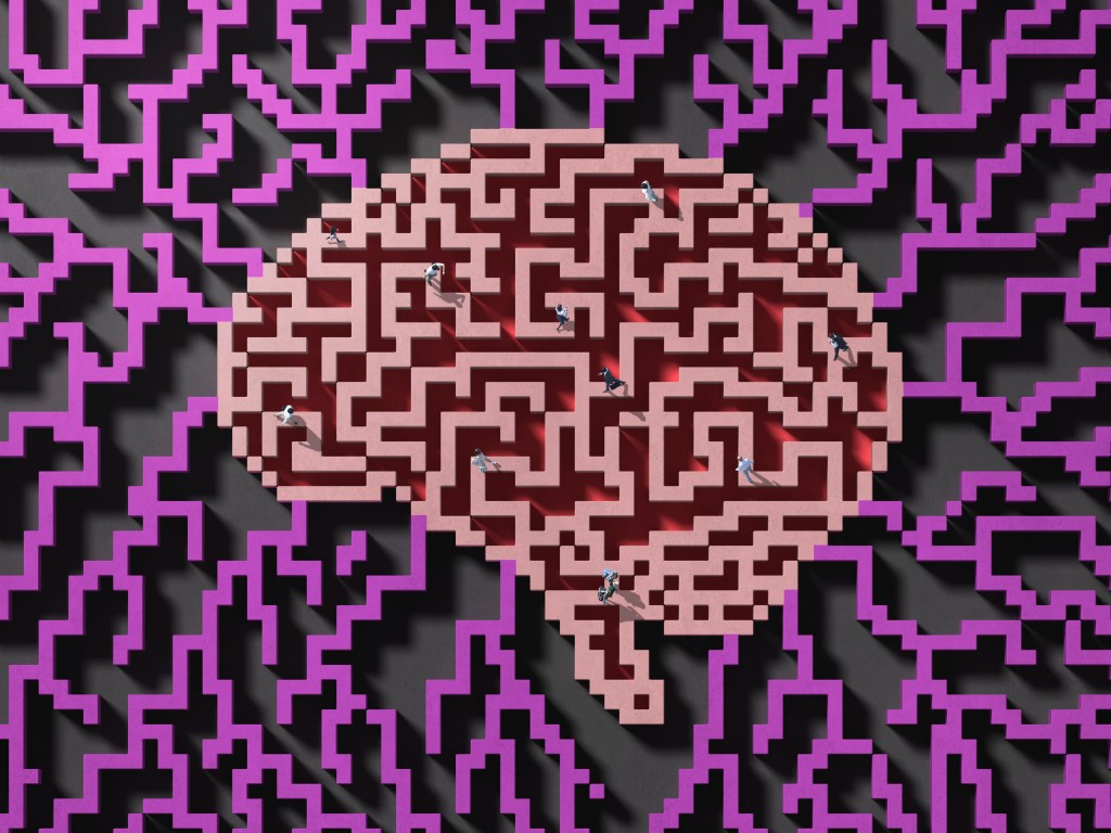 Image of people walking in a maze shaped as a brain.