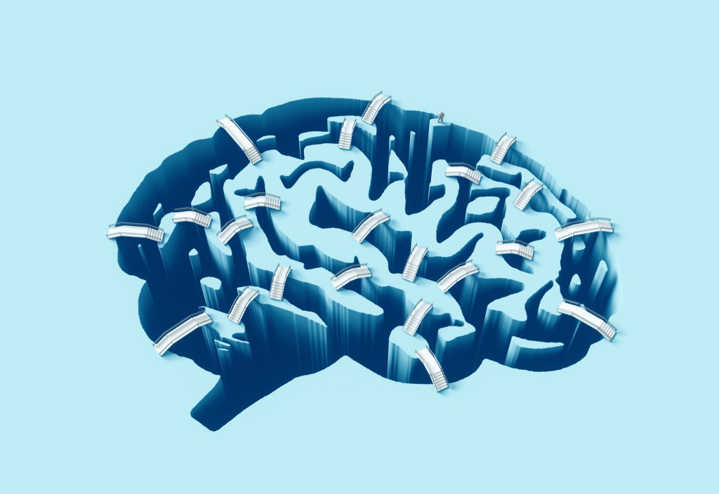Bridges crossing brain-shaped gorges