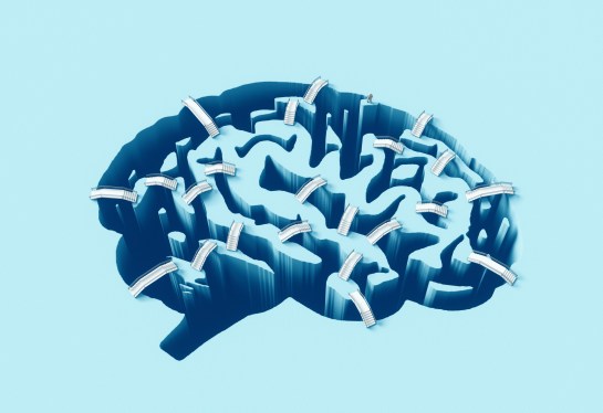 Bridges crossing brain-shaped gorges