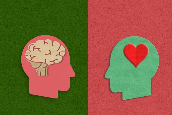 emotional intelligence versus intelctual intelligent in paper work