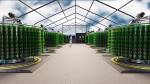 GreenForges, an underground farming company founded in 2019 looking to bring vertical farming technology underneath buildings.