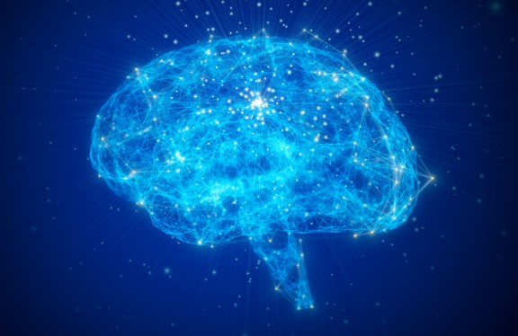 Brain model with neuron, synapse, receptor and verbs. on dark backgrounds.