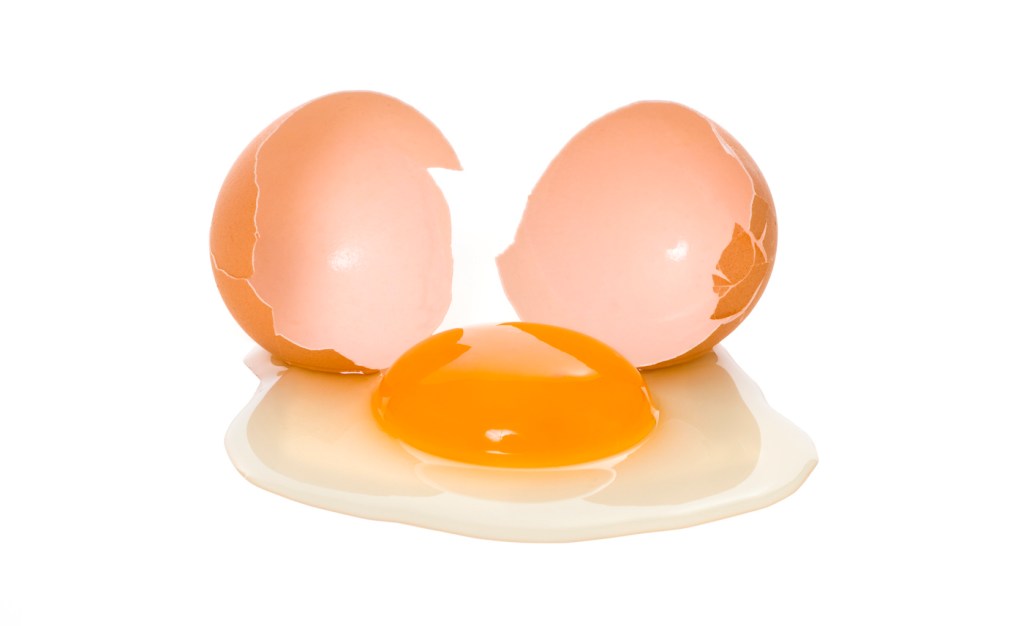 A close-up photo of a broken egg with a brown shell against a white background