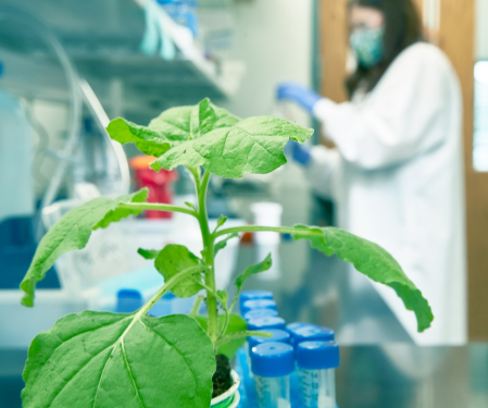 Tiamet Sciences