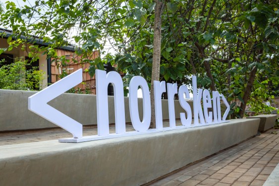 Norrsken