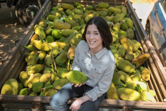 Annie Ryu, jackfruit, jack & annie's
