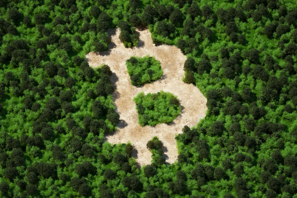 Forest cut in shape of bitcoin sign