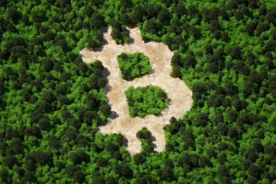 Forest cut in shape of bitcoin sign