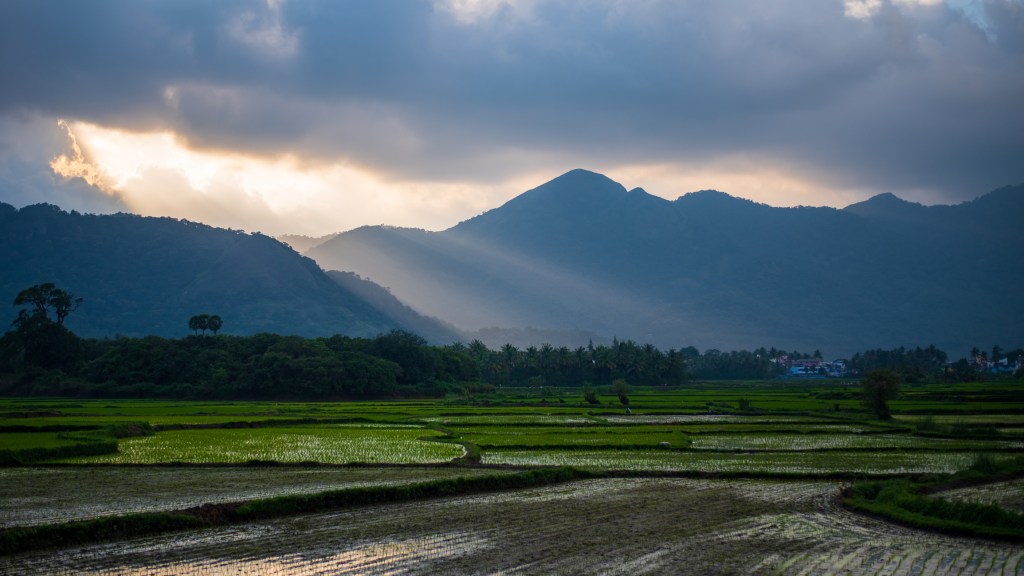 Scenic view of agricultural field against sky,Tenkasi,Tamil Nadu,India
