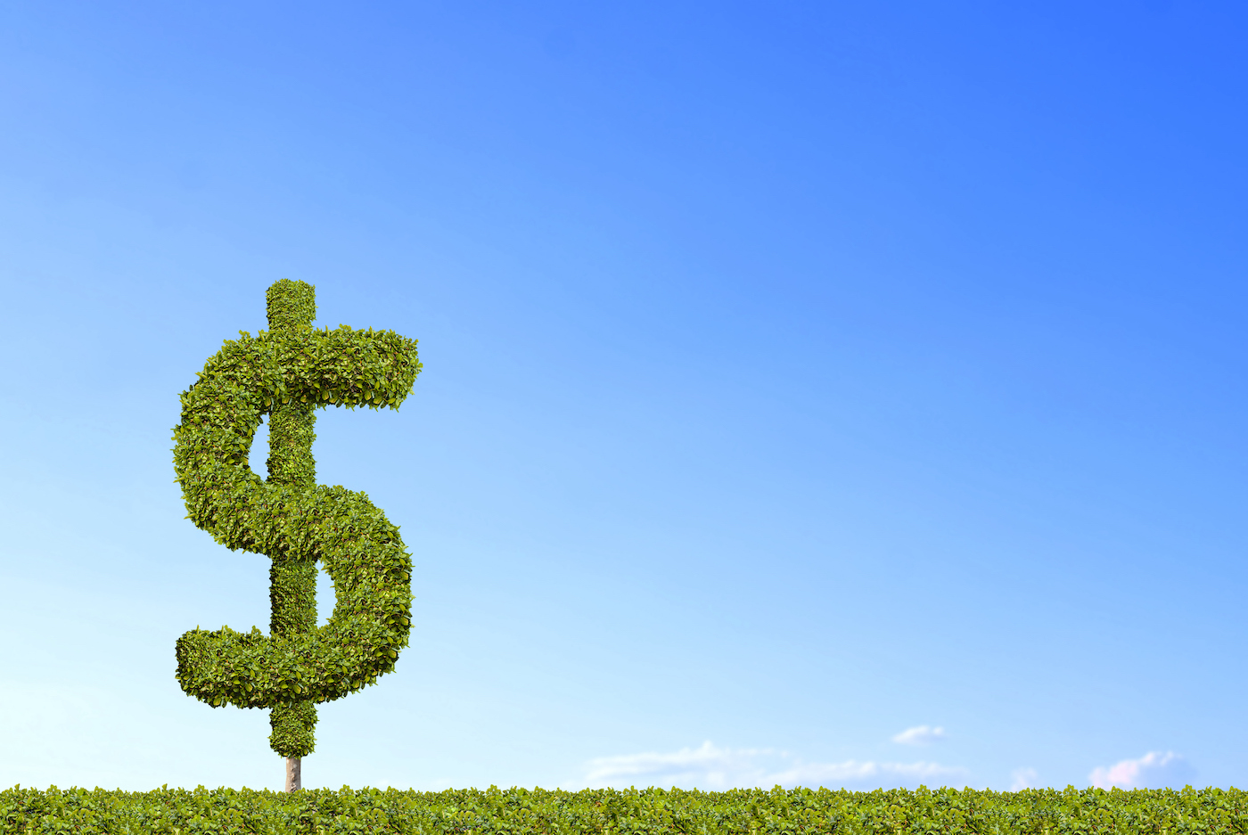 A topiary shaped like a dollar-bill symbol on a green field against a blue sky.