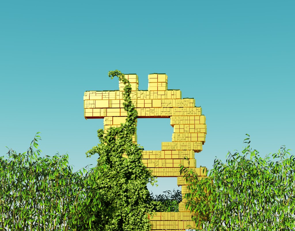 Image of a gold Bitcoin logo amid a hedge