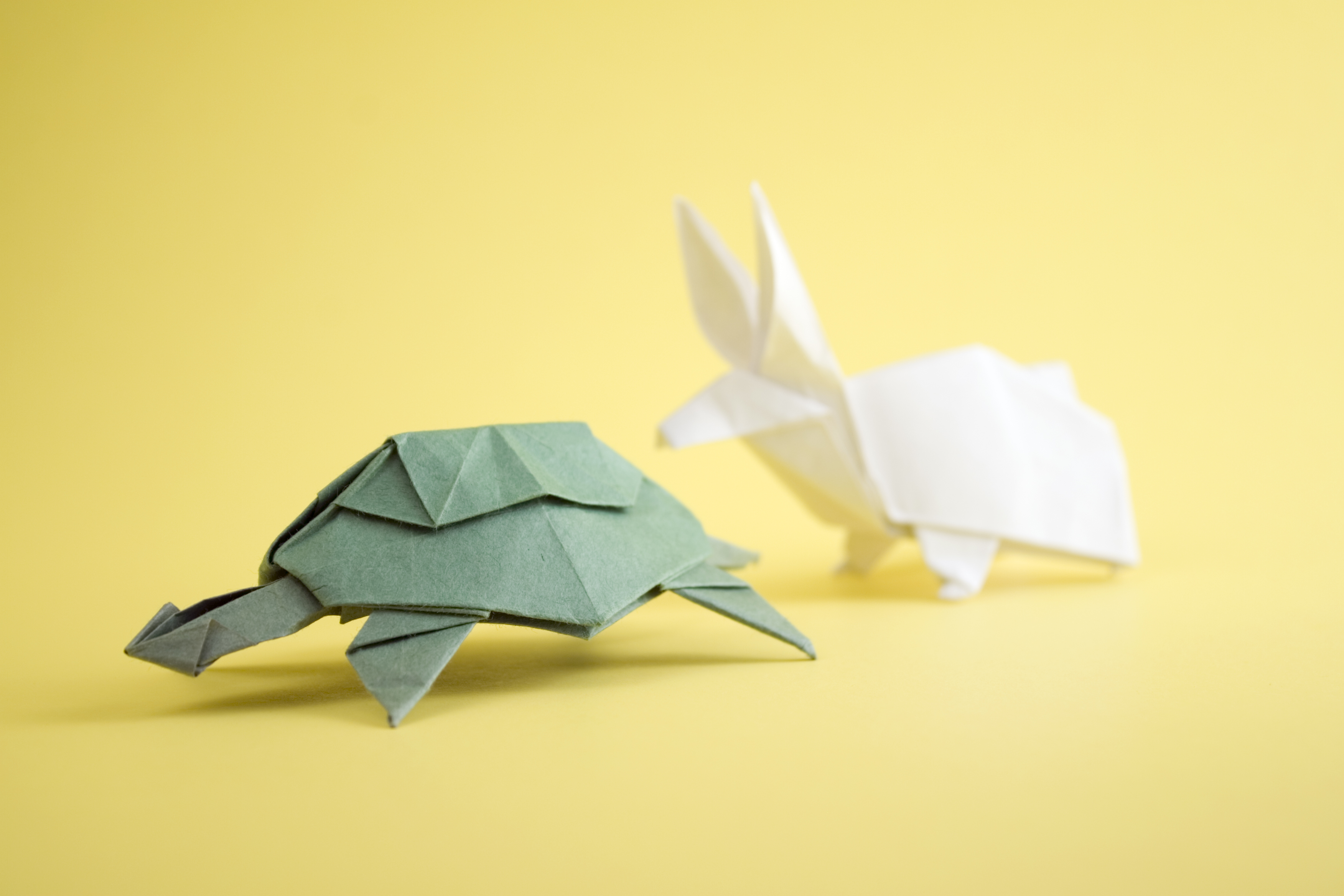 Origami Tortoise and the Hare