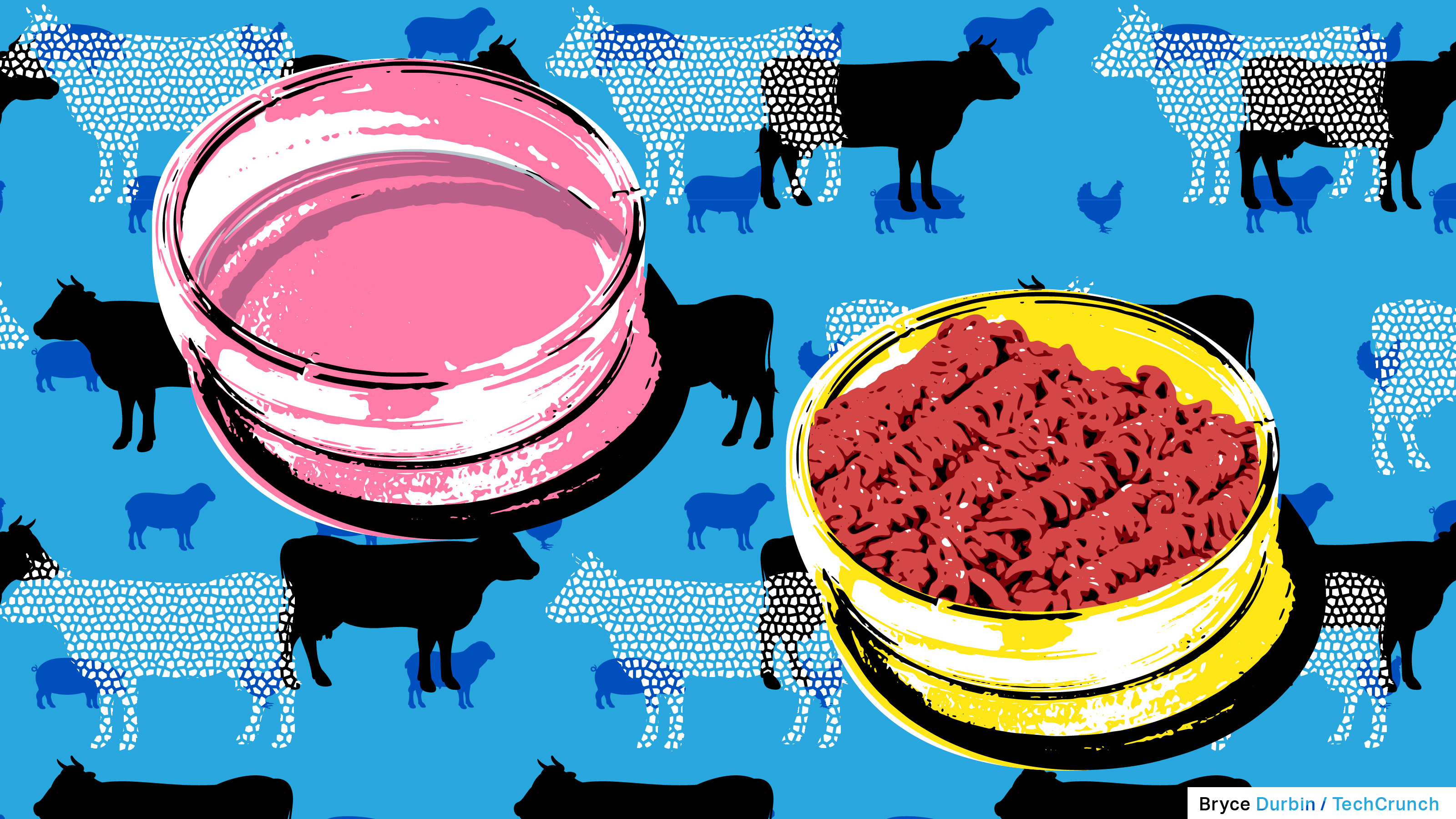 cell cultivated meat