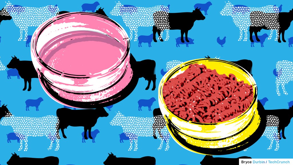 cell cultivated meat