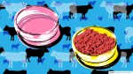cell cultivated meat