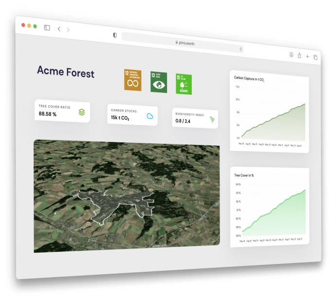 Pina Earth - Dashboard